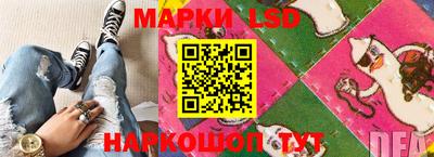 прущие грибы Моздок