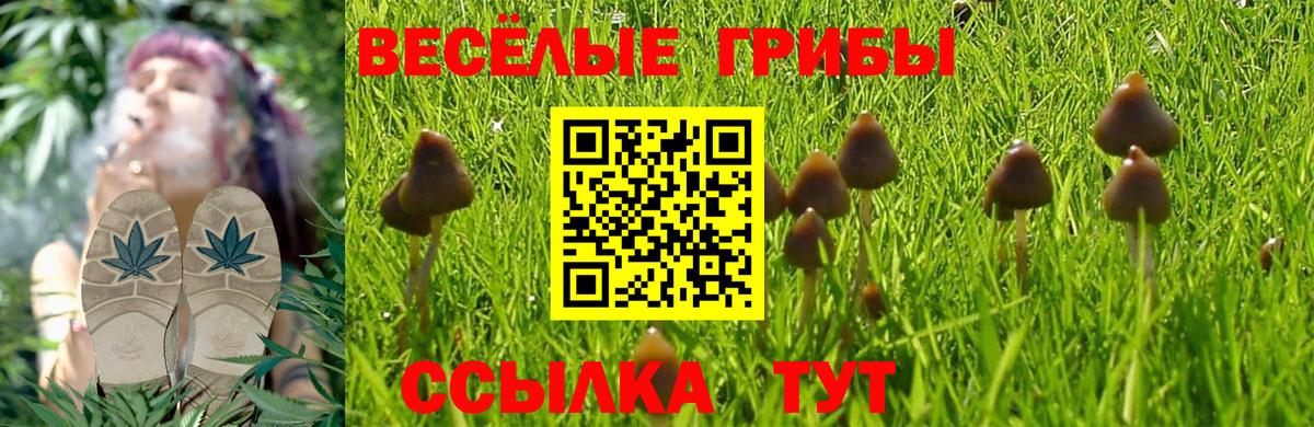 Псилоцибиновые грибы ЛСД  Вход с VPN  Углич  Галлюциногенные грибы Psilocybine cubensis 