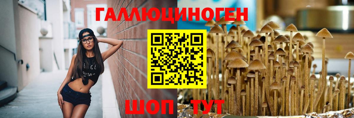 Галлюциногенные грибы мухоморы Углич